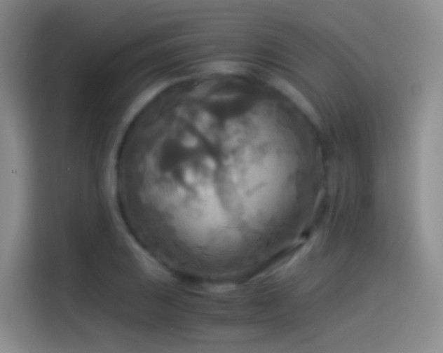 X0000114541031200910191338