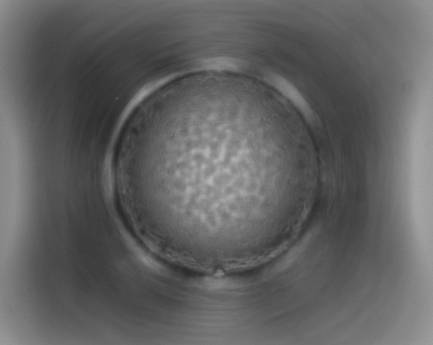 X0000114541032200910191338