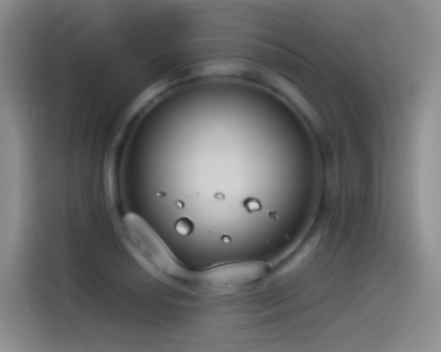 X0000114541034200910191338