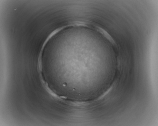 X0000114541036200910191338