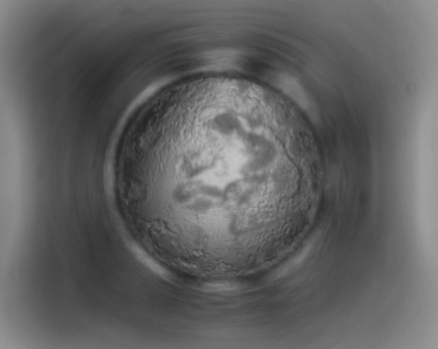 X0000114541037200910191338