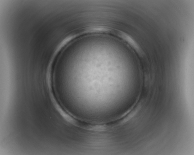 X0000114541038200910191338