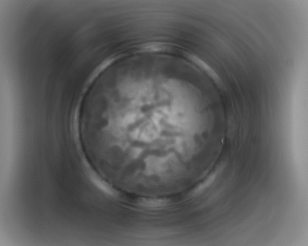 X0000114541039200910191338