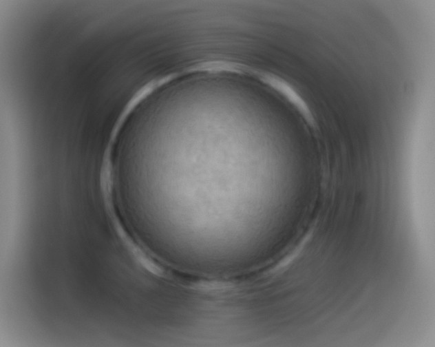 X0000114541040200910191338