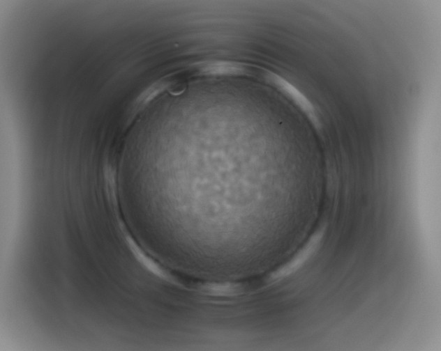 X0000114541041200910191338