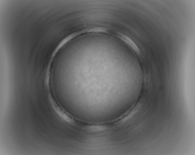 X0000114541044200910191338