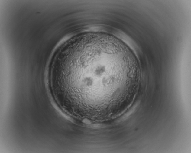 X0000114541045200910191338