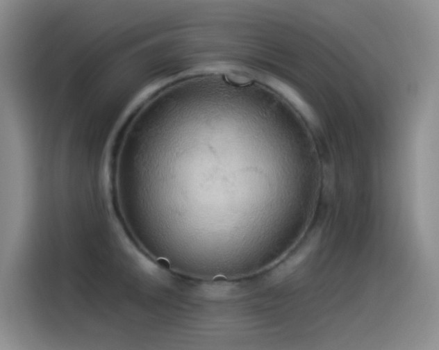 X0000114541046200910191338