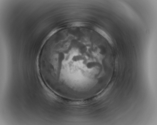 X0000114541047200910191338