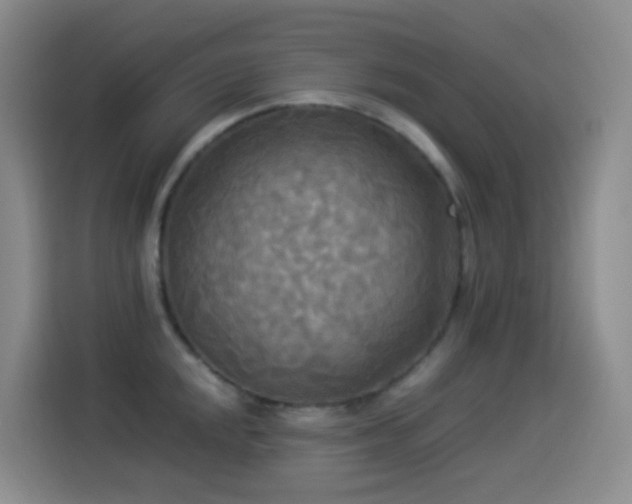 X0000114541048200910191338