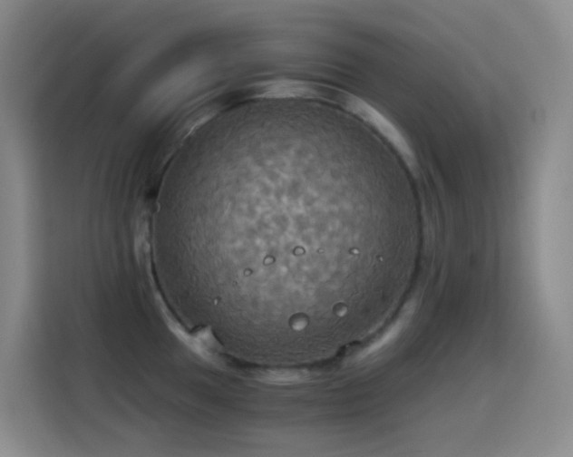 X0000114541049200910191338