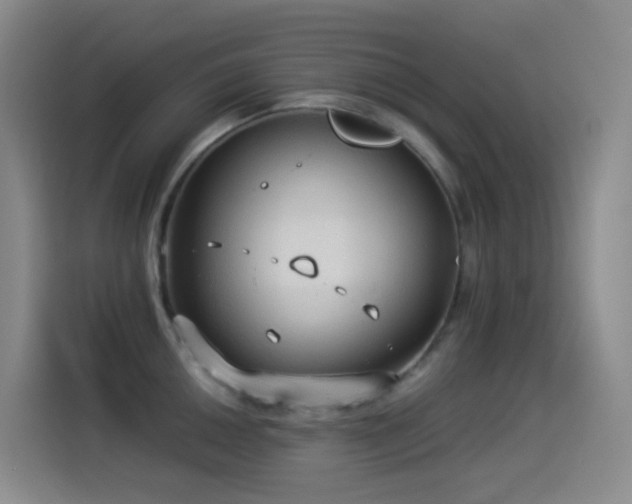 X0000114541050200910191338