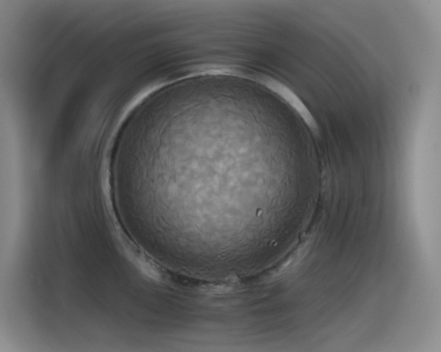 X0000114541051200910191338