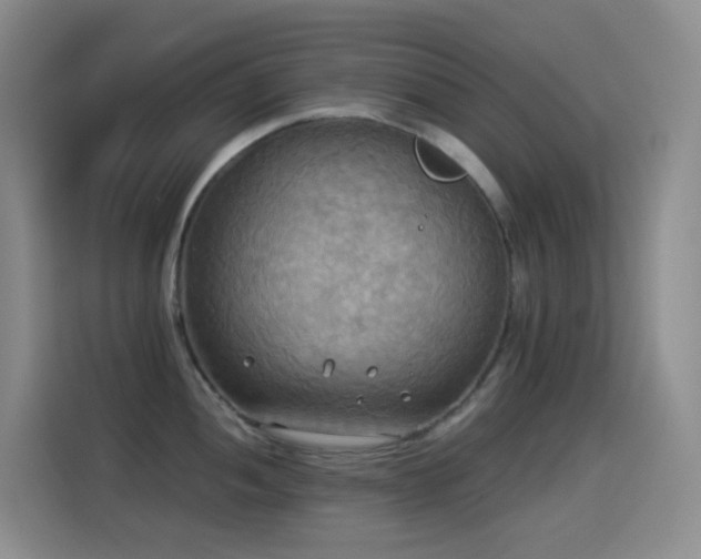 X0000114541052200910191338