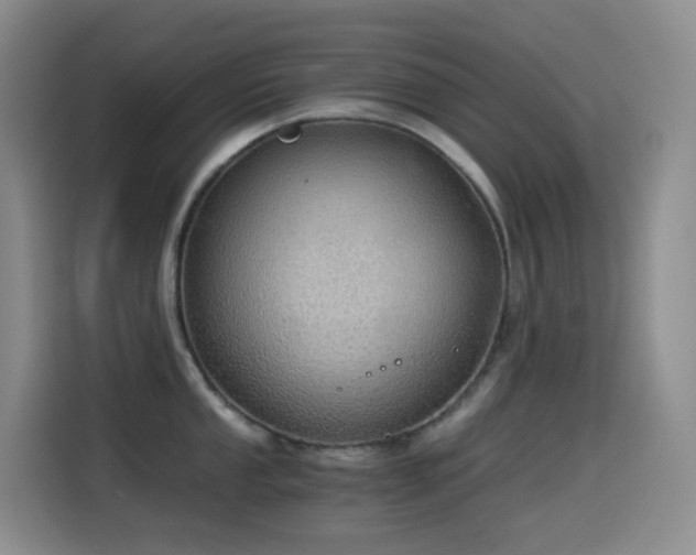 X0000114541053200910191338