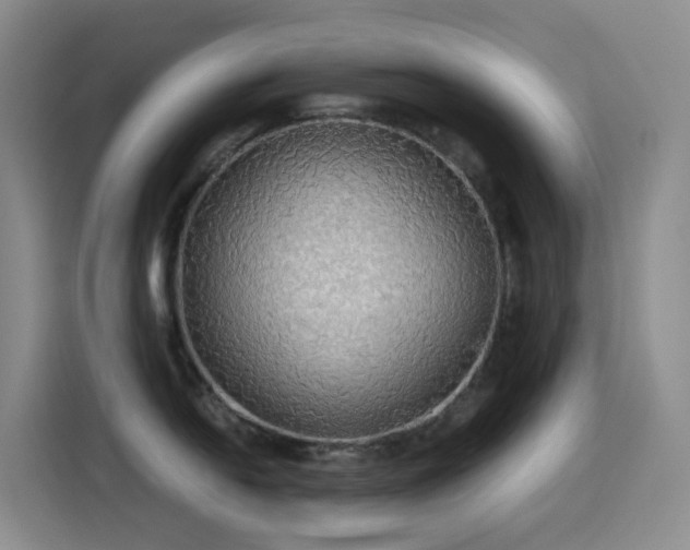 X0000114541054200910191338