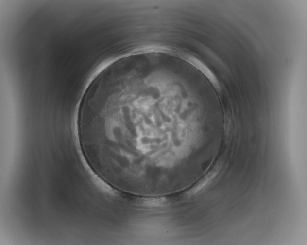 X0000114541055200910191338