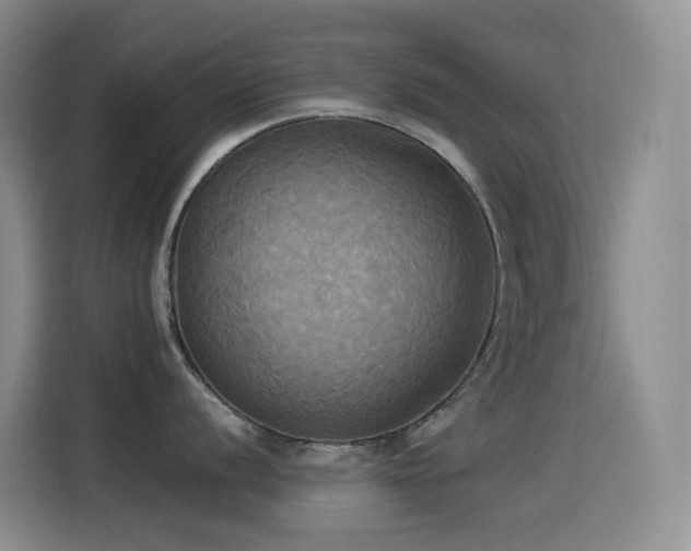 X0000114541056200910191338