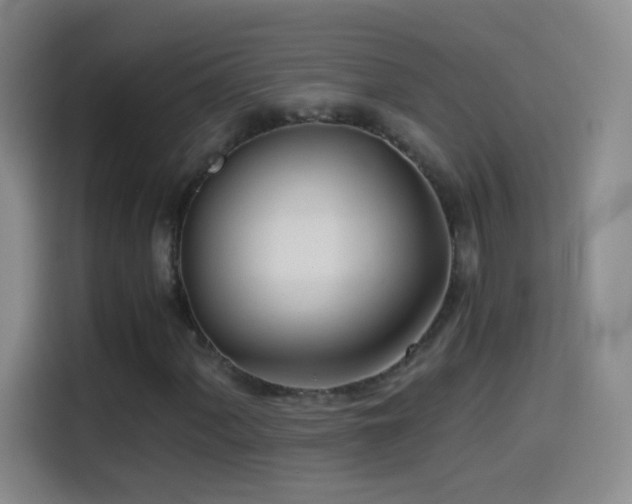 X0000114541060200910191337