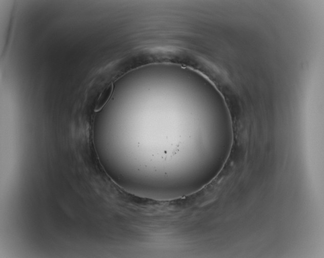 X0000114541061200910191337