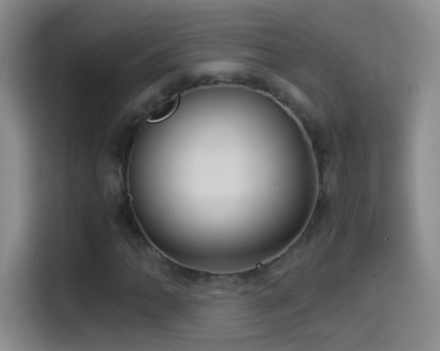 X0000114541062200910191337