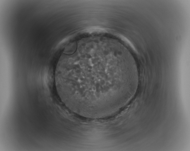 X0000114541063200910191337