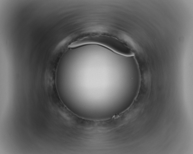 X0000114541064200910191337