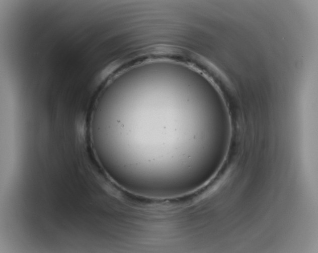 X0000114541065200910191337