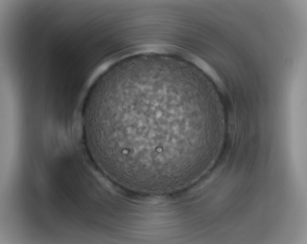 X0000114541067200910191337