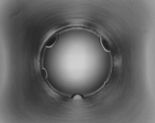 X0000114541068200910191337