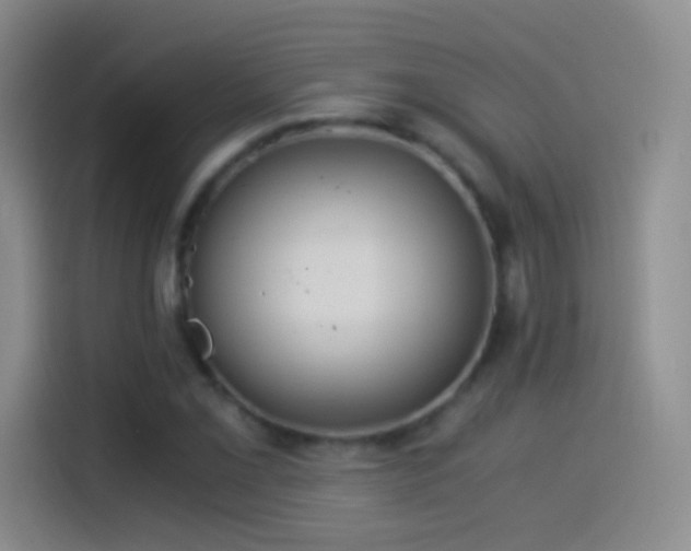 X0000114541069200910191337