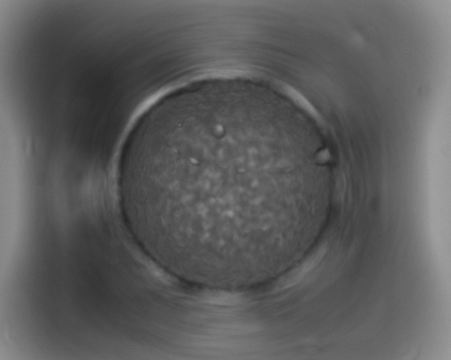 X0000114541071200910191337