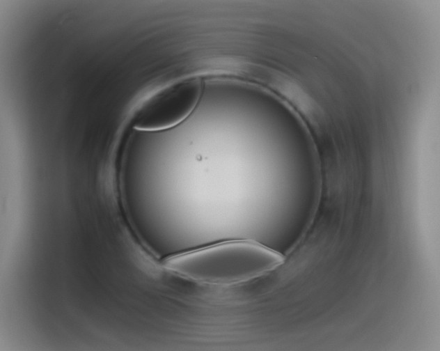 X0000114541072200910191337