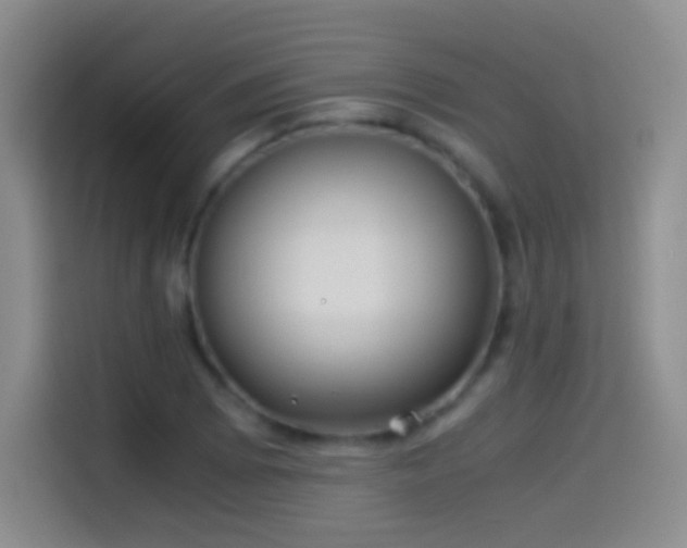 X0000114541073200910191337