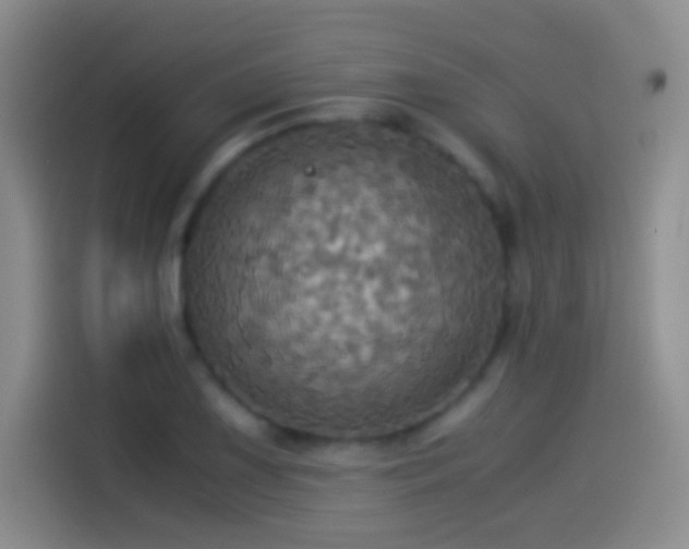 X0000114541075200910191337