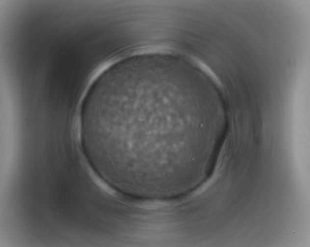 X0000114541079200910191337