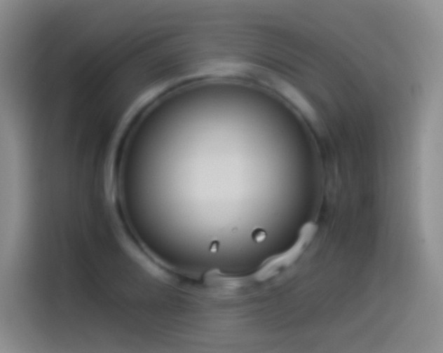 X0000114541080200910191337