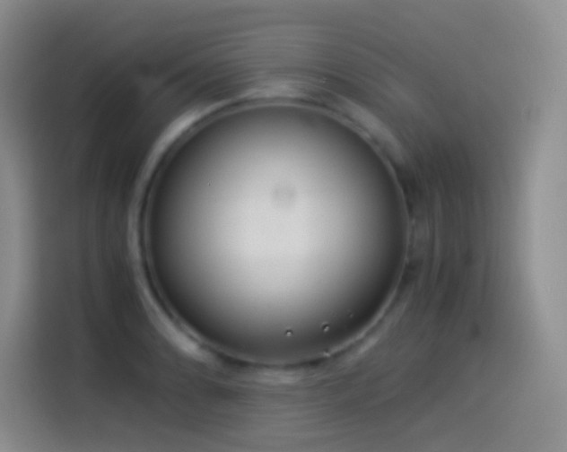 X0000114541086200910191337