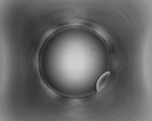 X0000114541088200910191337