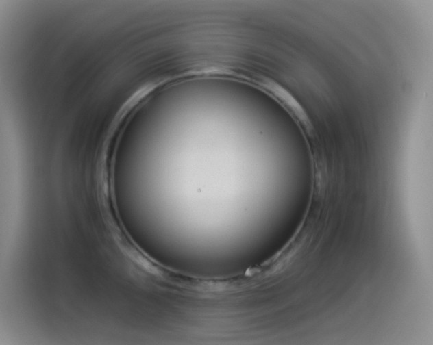 X0000114541096200910191337