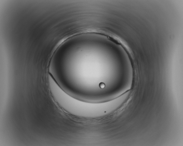 X0000114541097200910191337