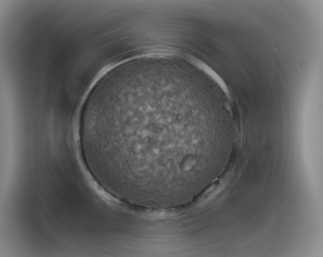 X0000114541099200910191337