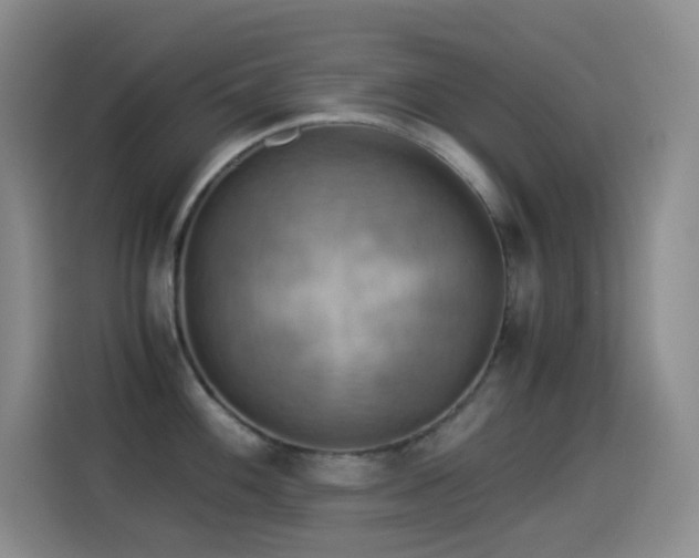 X0000114541100200910191337