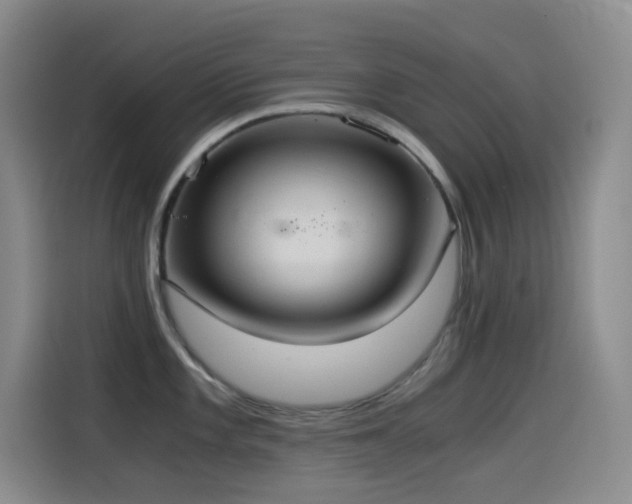 X0000114541101200910191337