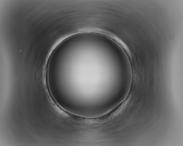 X0000114541102200910191337