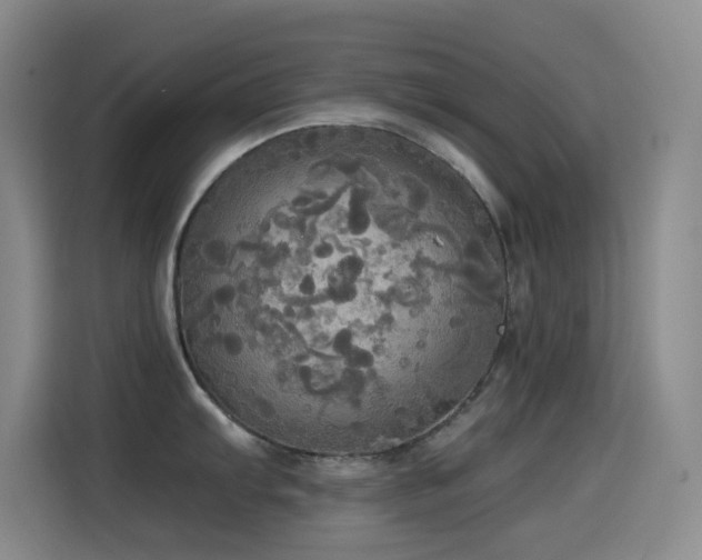 X0000114541103200910191337