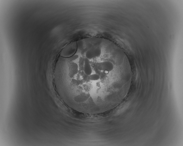 X0000114541105200910191336