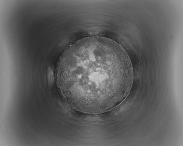 X0000114541106200910191336