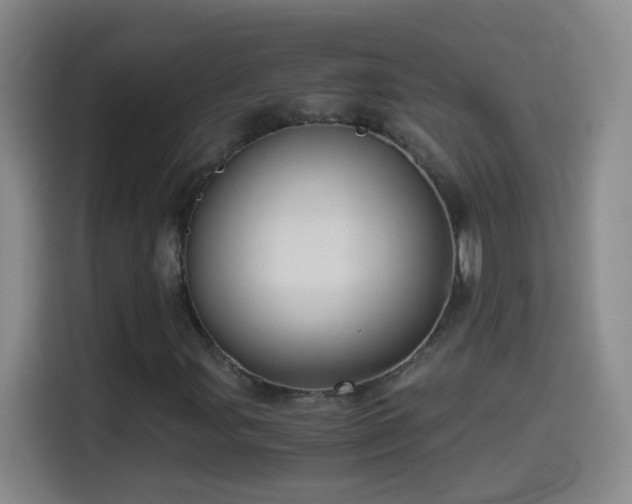 X0000114541107200910191336