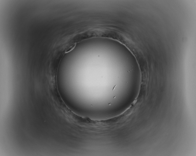 X0000114541109200910191336